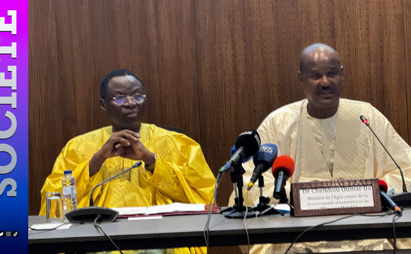 Pertes post-récoltes, magasins à l'arrêt, frontières fermées : Le diagnostic croisé des ministres Serigne Guèye Diop et Cheikh Oumar Ba sur les filières agricoles