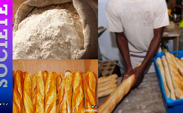 Farine au Sénégal / Blé, fret et assurances : les meuniers alertent sur les coûts d’approvisionnement et l’équilibre de la filière