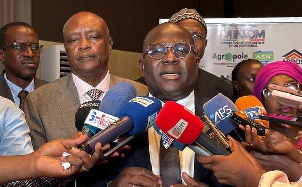 Industrialisation verte : Le Sénégal valide sa stratégie nationale avec une feuille de route commune aux ministères