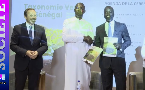 Lancement de la Taxonomie verte du Sénégal : « Faisons-en un pilier de la transition écologique au service de la transformation économique » ( Aliou Gori Diouf, ministre de l'Environnement)