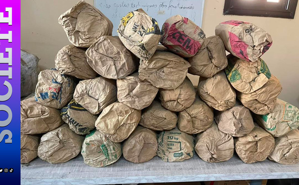 Saly Coulang : 39 kilos de chanvre indien saisis sur la plage, deux suspects en fuite