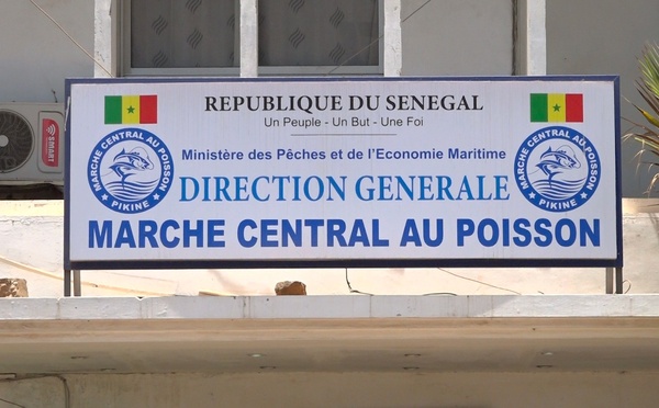 Marché central au poisson de Dakar : Boubacar Sy nommé directeur en remplacement d’Aliou Baldé