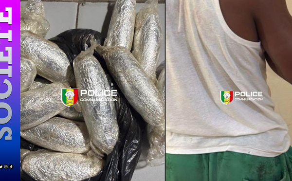 Trafic de cocaïne entre Médina et Yoff : un étudiant présumé arrêté avec 15 boulettes de drogue, il tente de corrompre les policiers