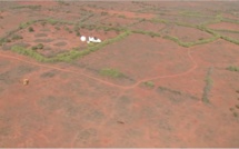 Lâcher de « mouches » dans la zone de Allou Kagne : une simple « technique des insectes stériles » pour lutter contre la mouche tsé-tsé...