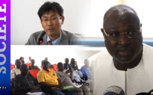 Sénégal/ Autosuffisance en riz : Le MASEA et la Jica lancent le projet KR2