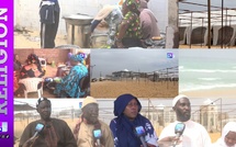 Ferveur totale à Yoff : les Layène portés par l’héritage éternel de Seydina Limamou Laye