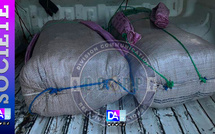 Aéré Lao, Sabodala et Kaolack :trois opérations coordonnées aboutissent à des interpellations et saisies majeures de 88 kg de chanvre indien