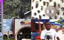 Tourisme :  À la découverte du dynamisme touristique dans la station balnéaire de Senegambia