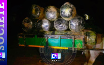 Warang (Mbour) : 600 kg de chanvre indien saisis sur la plage…un charretier arrêté, ses complices en fuite