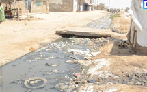 Kaolack- Les canaux à ciel ouvert, un danger permanent : « C’est comme si nous n’avons pas d’autorités »( populations)