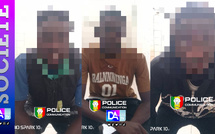 Dieuppeul : chute d’un cerveau du grand banditisme, une bande spécialisée dans le vol de scooters démantelée