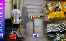 Chanvre indien, Tramadol, fuites et arrestations : l’OCRTIS frappe fort dans plusieurs régions du Sénégal