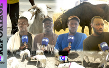 Tabaski 2026 : à Ouest-Foire, les éleveurs entre flambée des coûts et pénurie de moutons