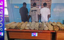 Petit Mbao : 26 kg de chanvre indien saisis, trois suspects arrêtés par la gendarmerie