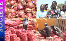 « Nos oignons pourrissent pendant que nos dettes s'accumulent » : les producteurs de Ngomène interpellent le président Diomaye Faye
