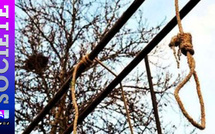 Thiès: un homme retrouvé pendu dans son verger