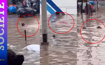 Inondations à Grand-Yoff : un homme filmé en train de nager dans les eaux boueuses