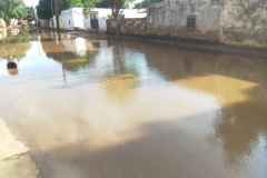 IMG-20200912-WA0055 (1)