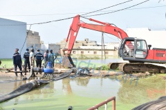 DSC_1727-BorderMaker