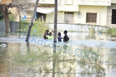 DSC_1762-BorderMaker