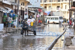 DSC_1865-BorderMaker