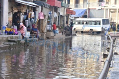 DSC_1868-BorderMaker