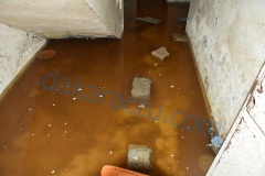 DSC_1881-BorderMaker