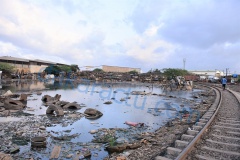 DSC_1892-BorderMaker