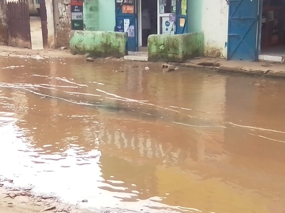 IMG-20200912-WA0046 (1)