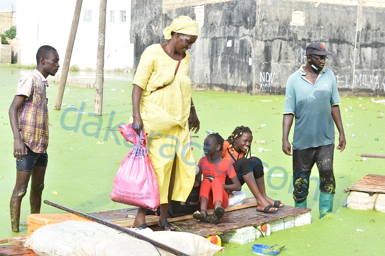 DSC_1683-BorderMaker