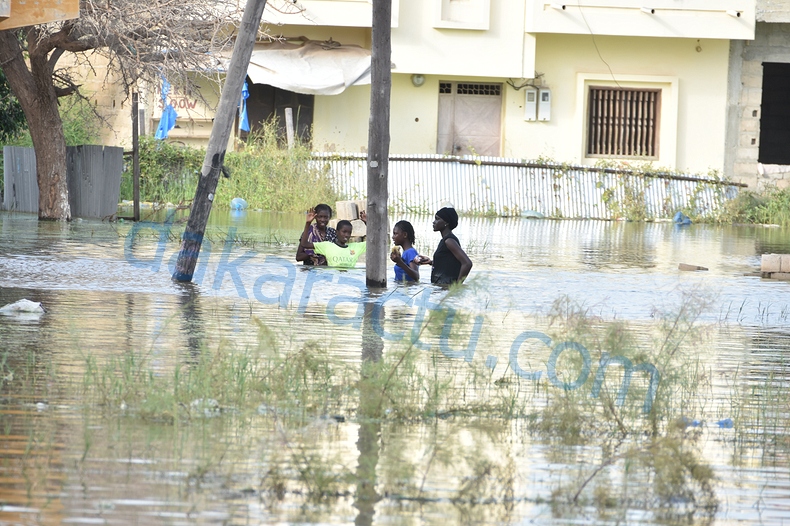 DSC_1762-BorderMaker