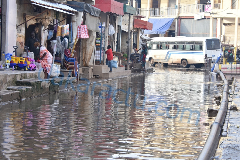 DSC_1868-BorderMaker