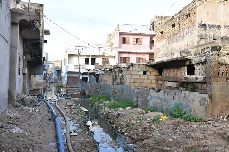 DSC_1873-BorderMaker