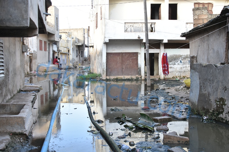 DSC_1876-BorderMaker