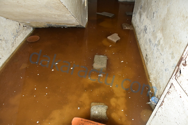 DSC_1881-BorderMaker