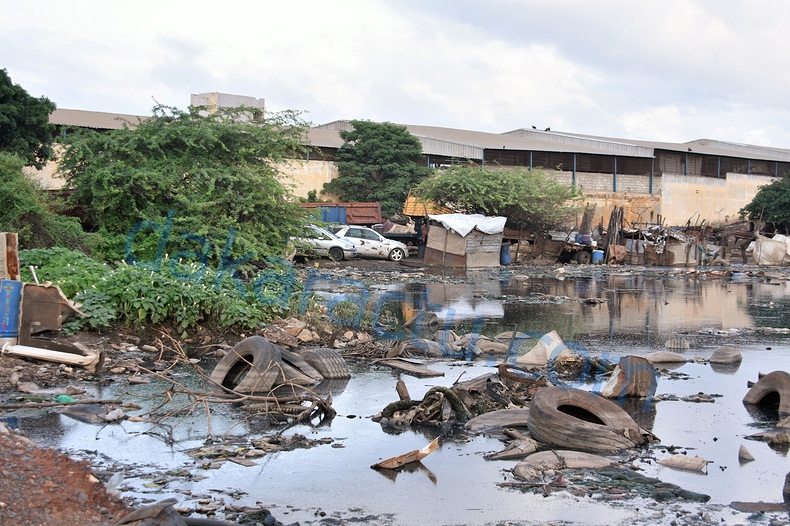 DSC_1895-BorderMaker