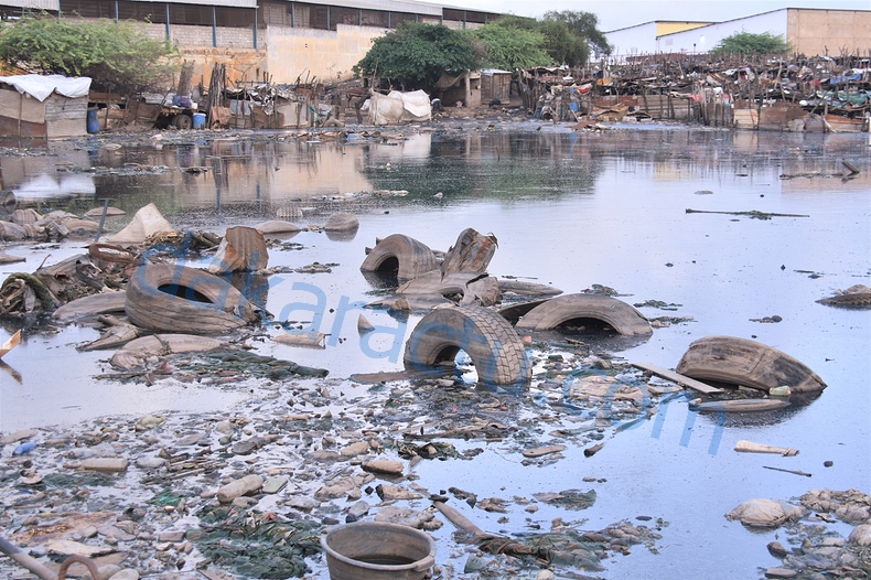 DSC_1897-BorderMaker