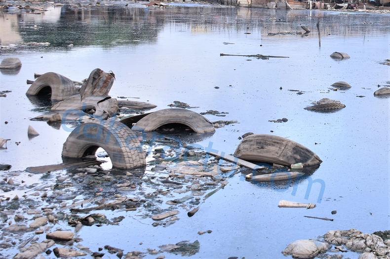 DSC_1904-BorderMaker